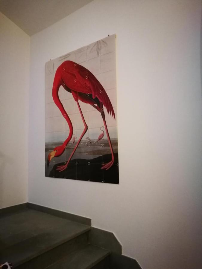 Suite Eleven Castiglioncello Bagian luar foto