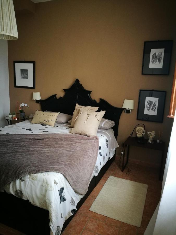 Suite Eleven Castiglioncello Bagian luar foto